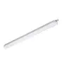 Philips Réglette LED Étanche CoreLine WT120C G2 28.6W 3700lm - 840 Blanc Froid | 120cm 